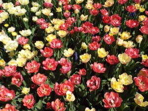 Ever feel like your uniqueness is overshadowed by those around you?