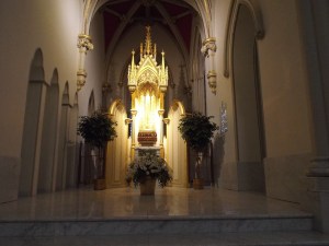 What do we do with spiders?